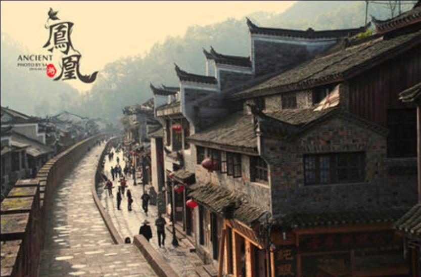 滚动的奶酪